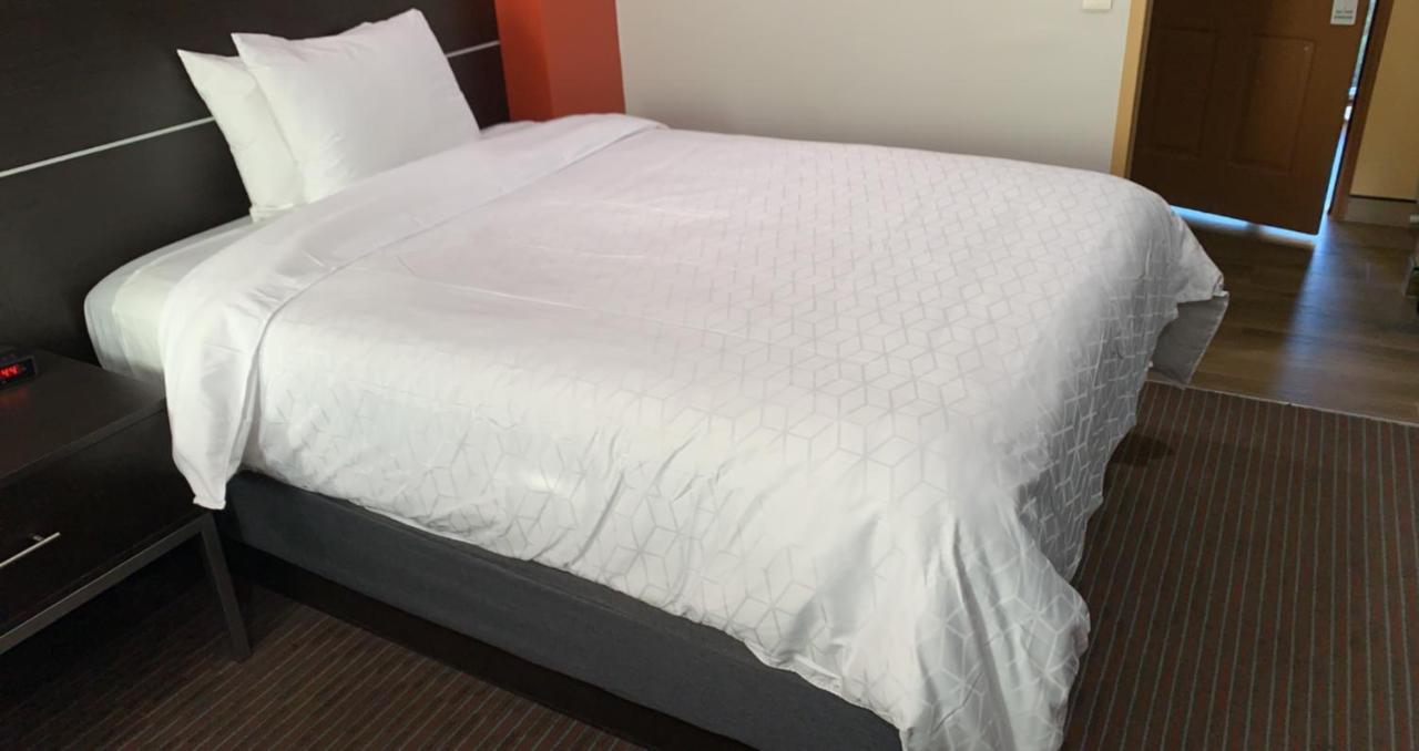 Hotel Vinea Healdsburg — photo 14