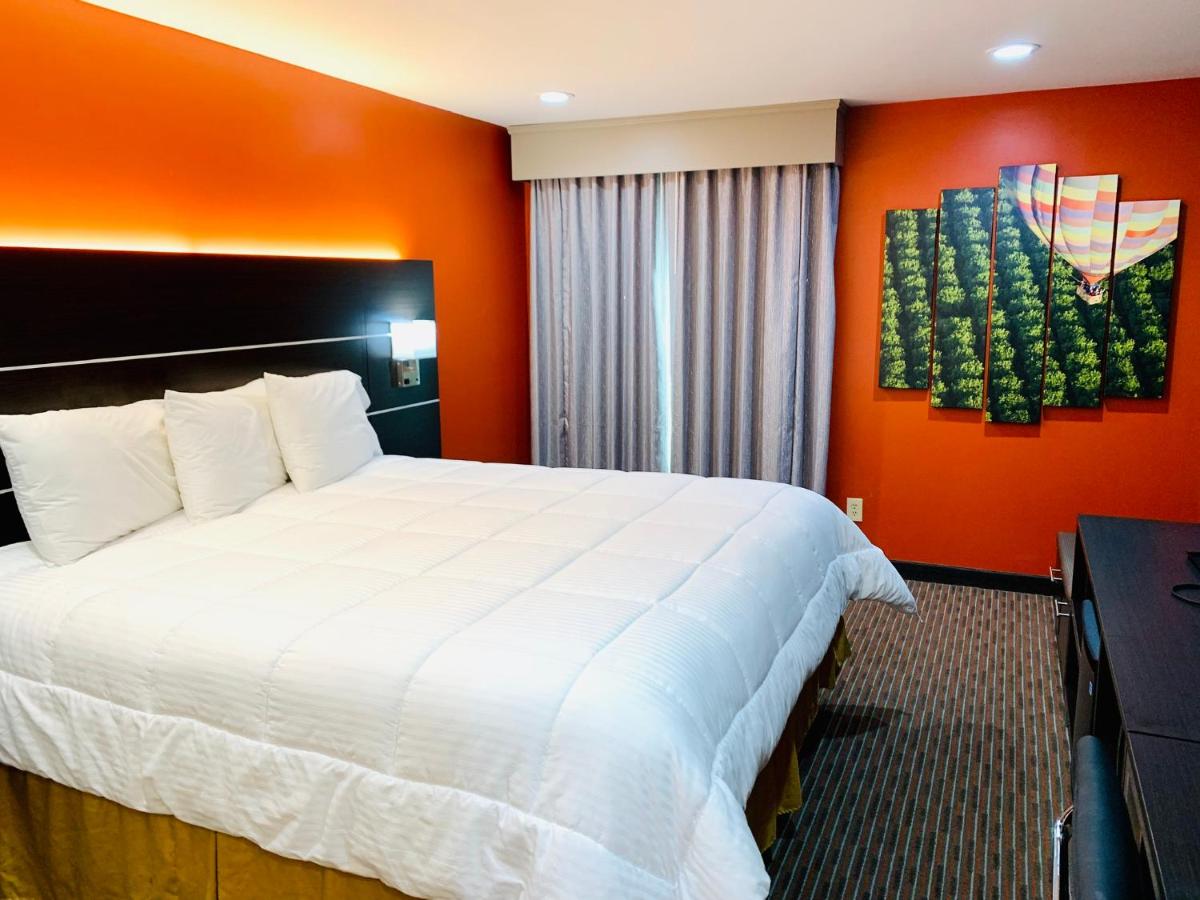 Hotel Vinea Healdsburg — photo 11