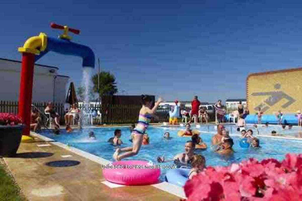 Heated swimming pool: Alberta holiday park, Whitstable, 2 Bed park home DP42