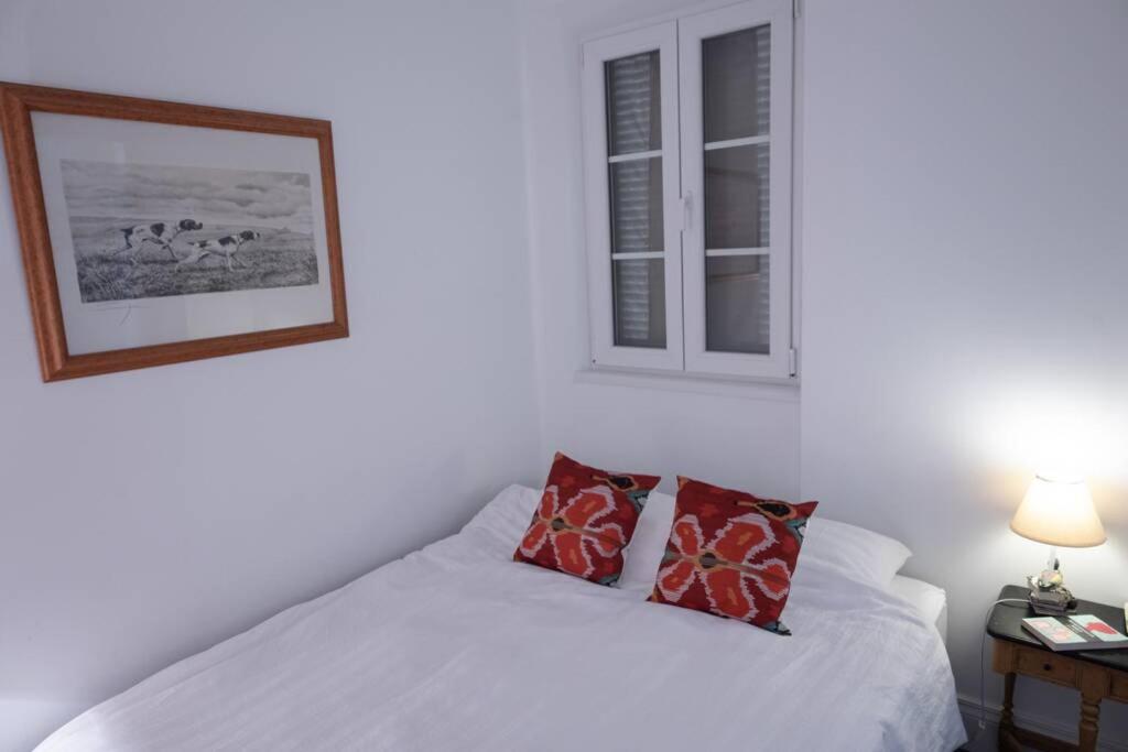 Charming Colonial Flat in historic building
