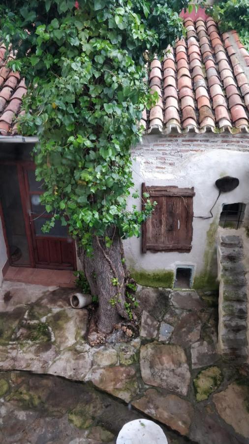 AIRAM Home ARAGON, 7, Almansa – Updated 2022 Prices