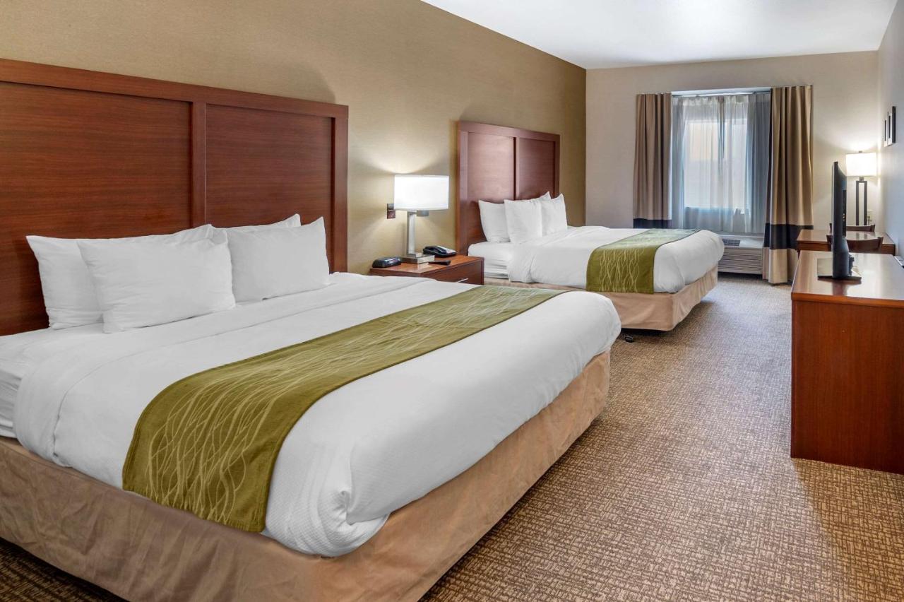 THE ATRIUM HOTEL SFO AIRPORT - FREE Shuttle & Breakfast — photo 22