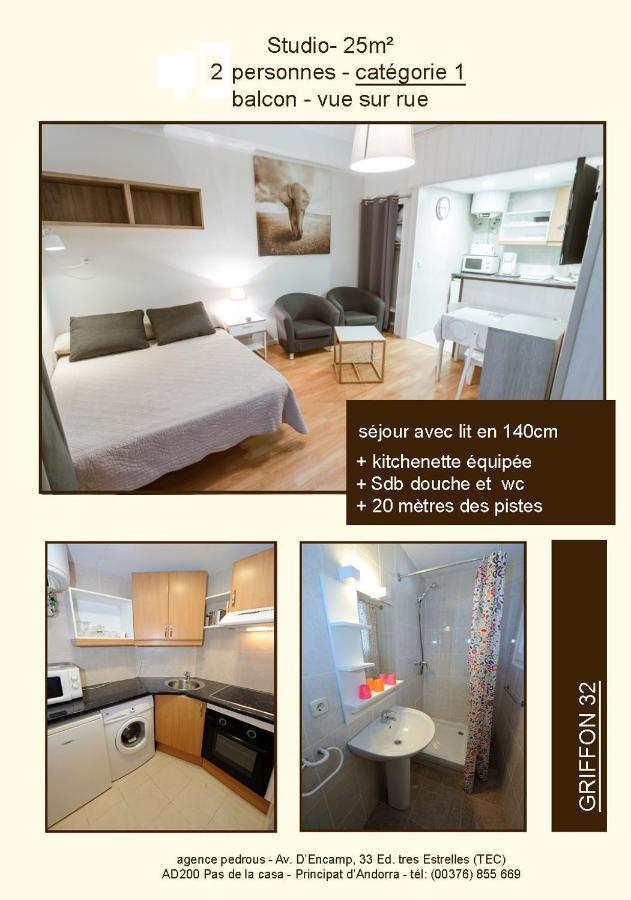 Griffon Pedrous static_photo