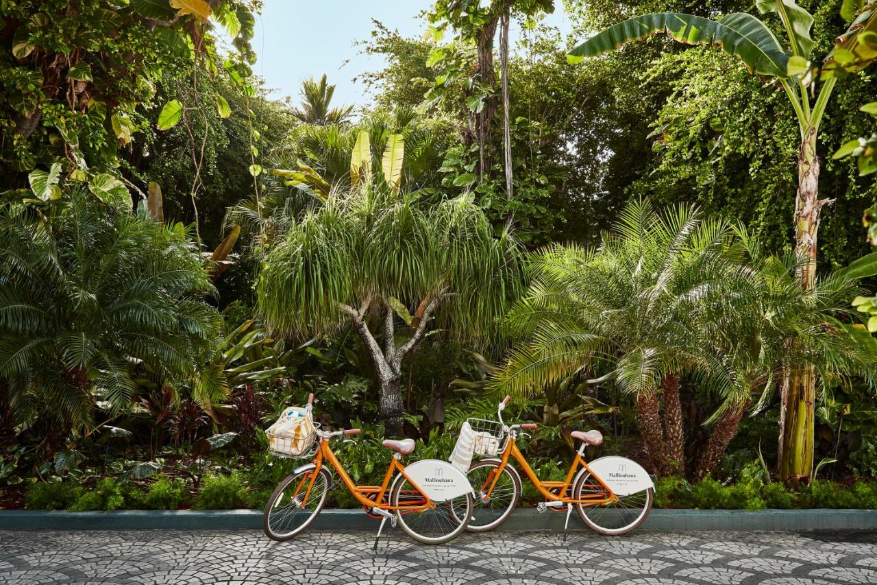 Malliouhana Resort Anguilla photo