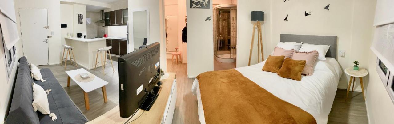 Monoambiente Palermo Hollywood - 4