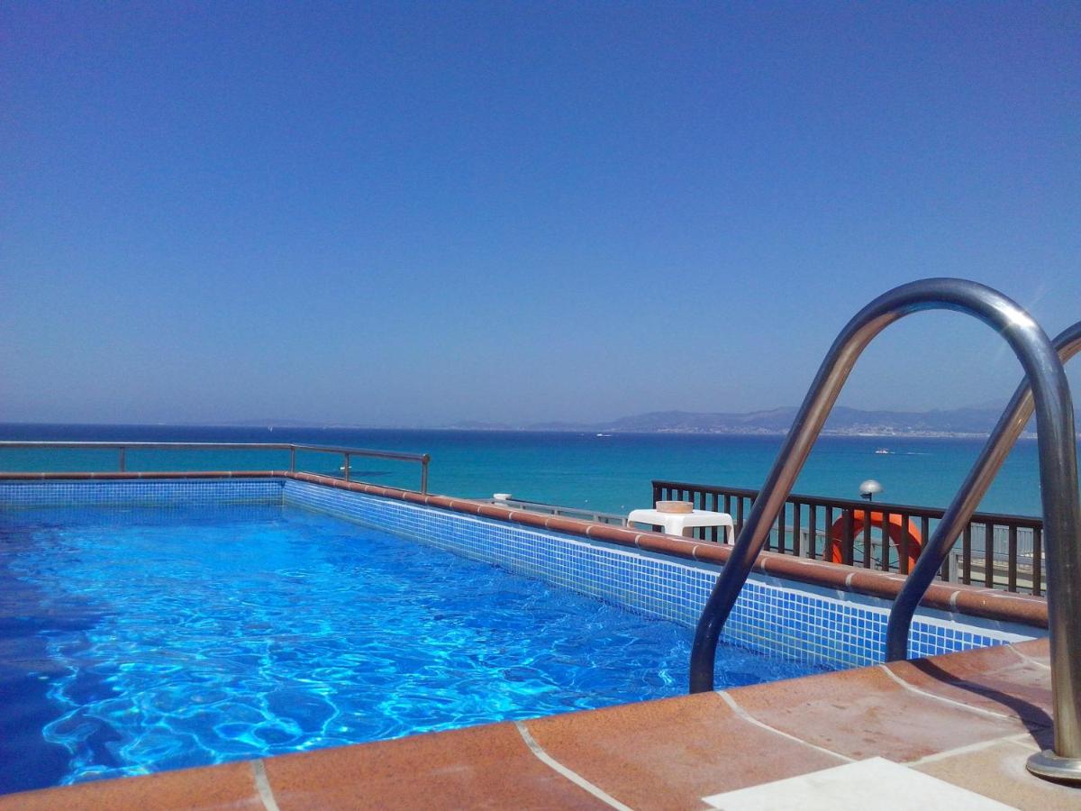 Rooftop swimming pool: Hotel Marina Playa De Palma
