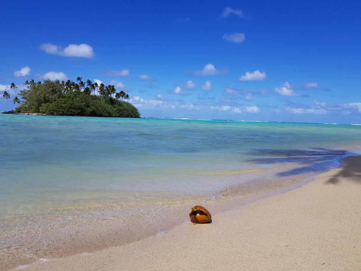 Nautilus Resort photo