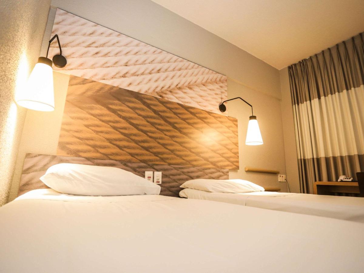 Ibis Teresina photo