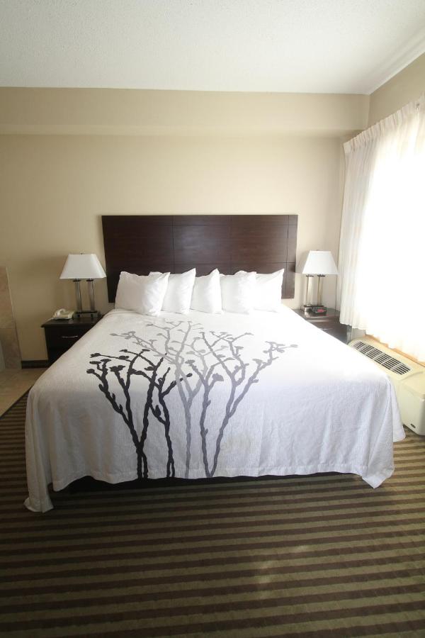 Bowman Inn & Suites — photo 17