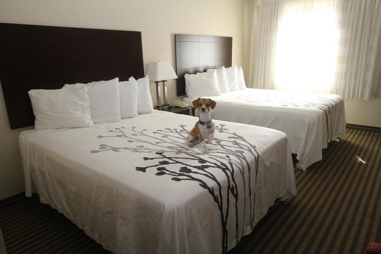 Bowman Inn & Suites — photo 23