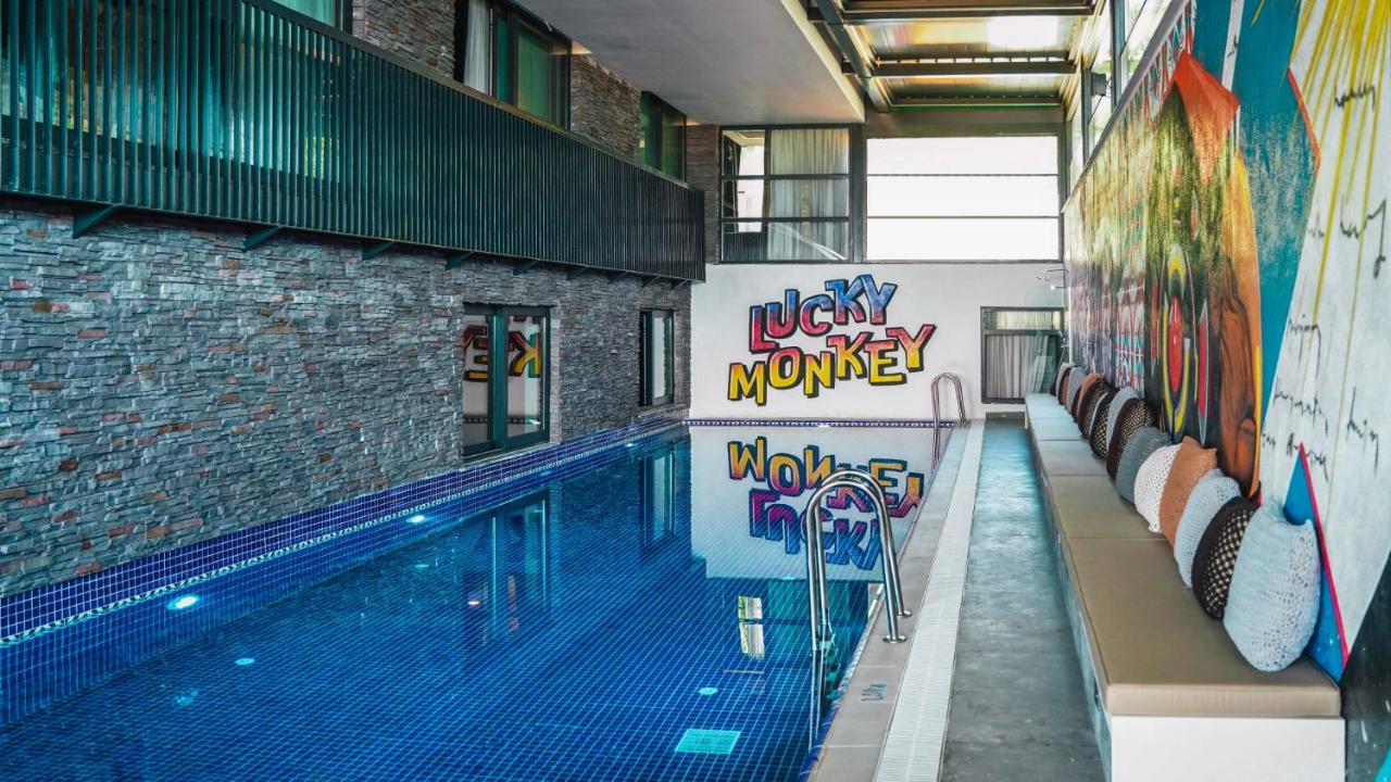 Heated swimming pool: Lucky Monkey Hotel
