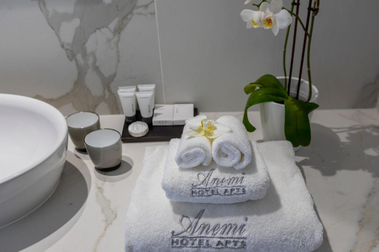 Anemi Hotel & Suites photo