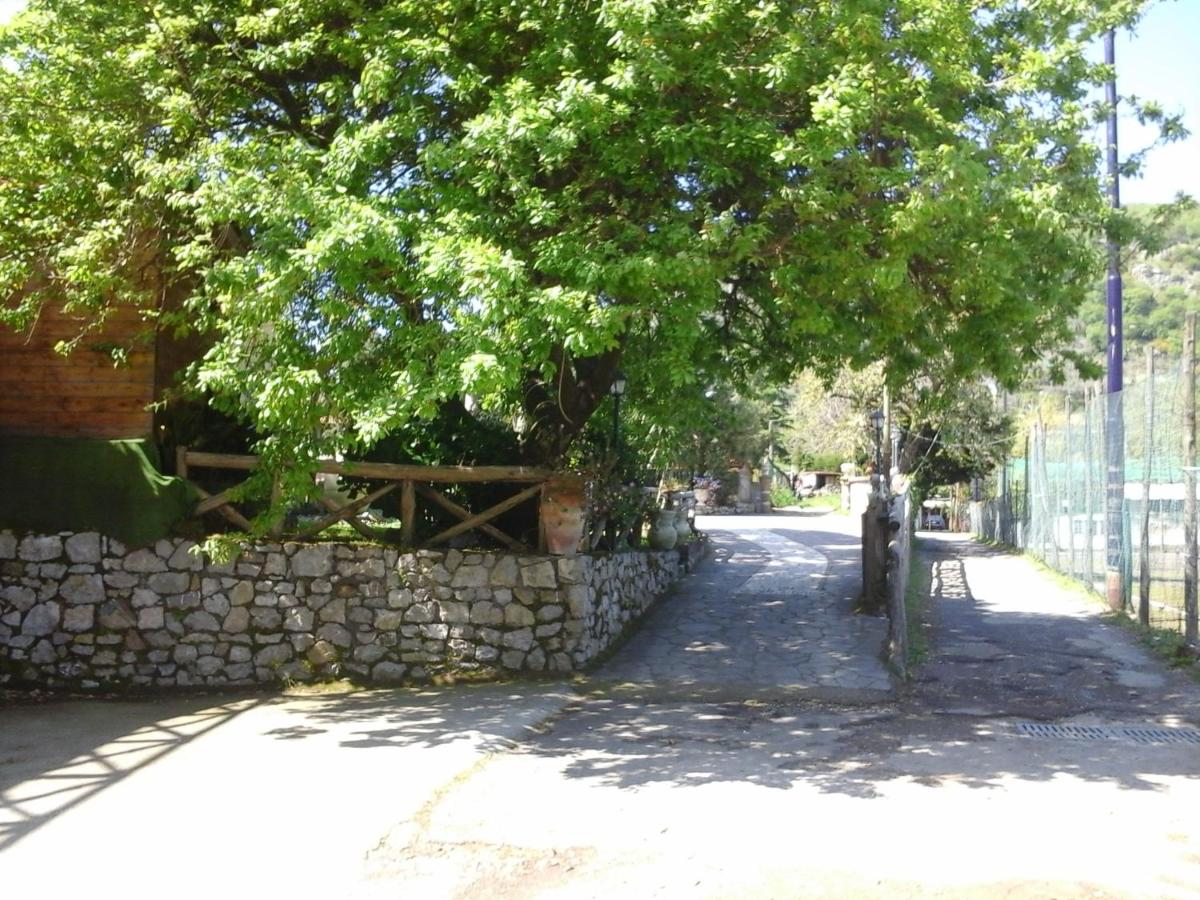 Agriturismo La Chiana photo