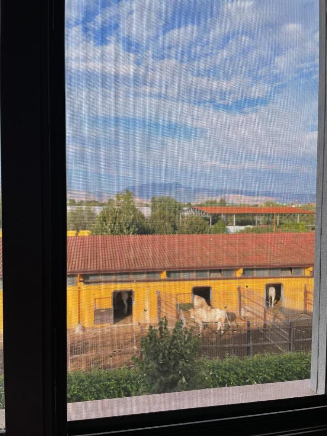 Agriturismo La Caffettiera photo