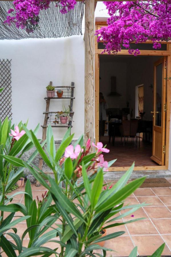 Appartement Casa Tia - Perfect hideout - Costa Tropical ...