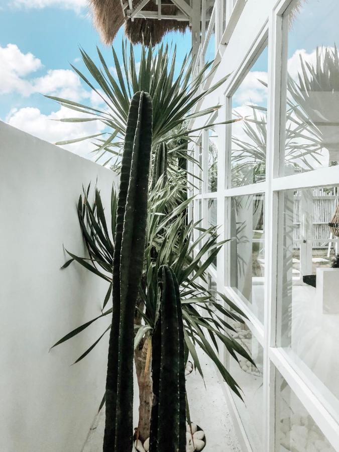 White Palm Hotel Uluwatu - Intimate Kitchen-led Hideaway - 2 min walk from the beach - 3