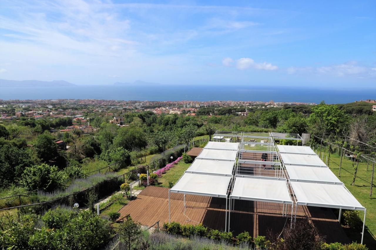 Tenuta Le Fornacelle photo