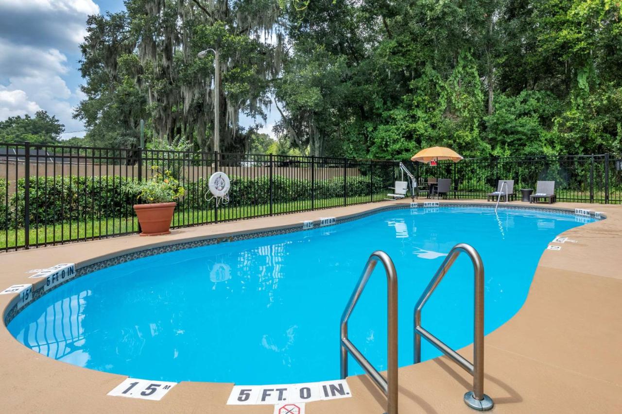 Heated swimming pool: Comfort Inn & Suites DeLand - near University