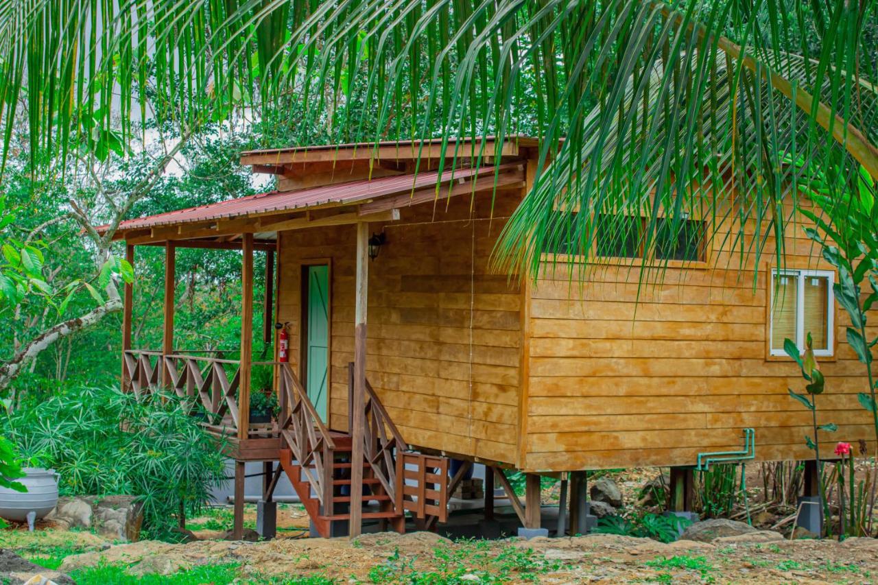 The Garden of Eden Eco Lodge — photo 18