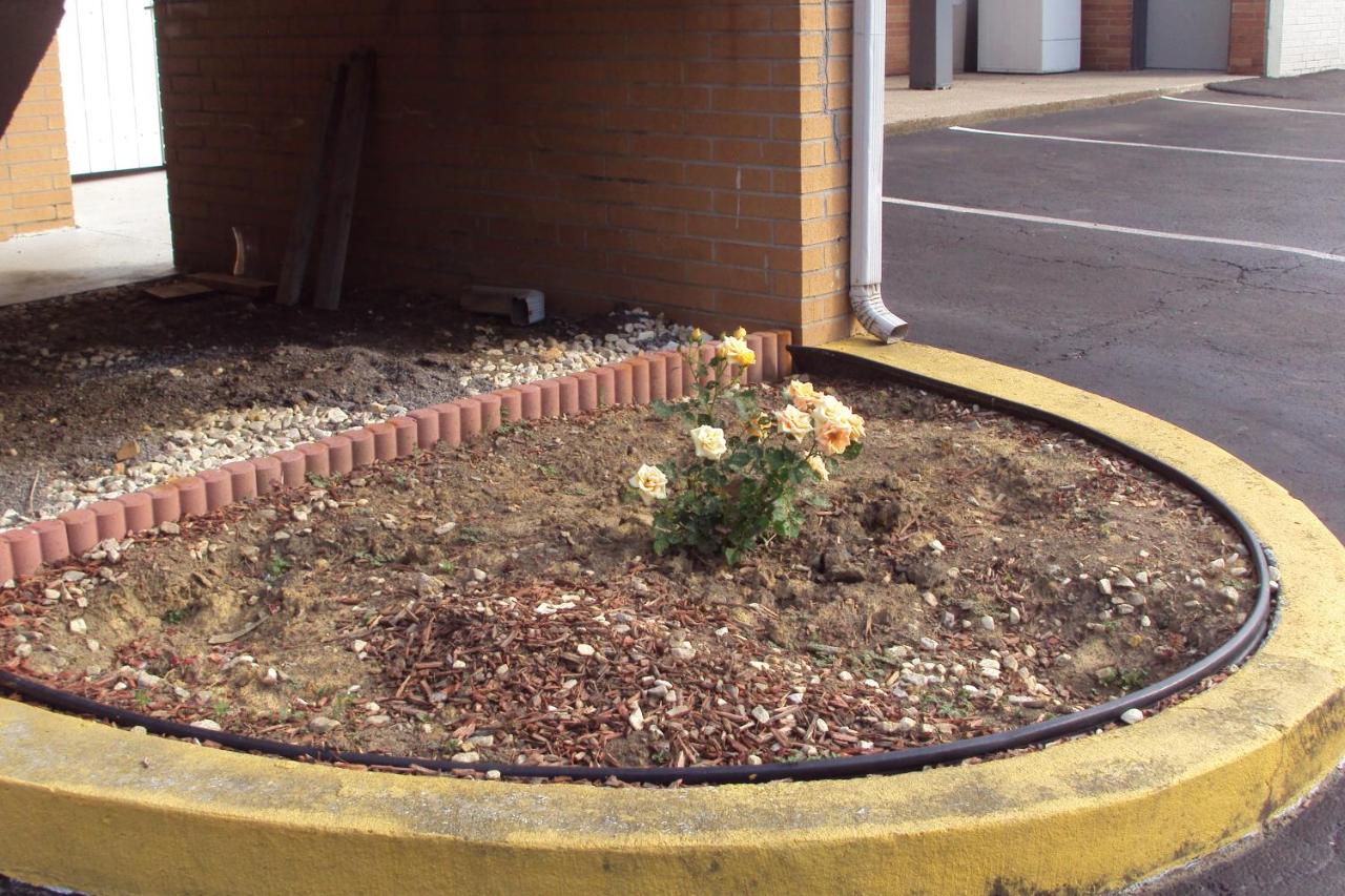 EXECUTIVE INN — photo 21