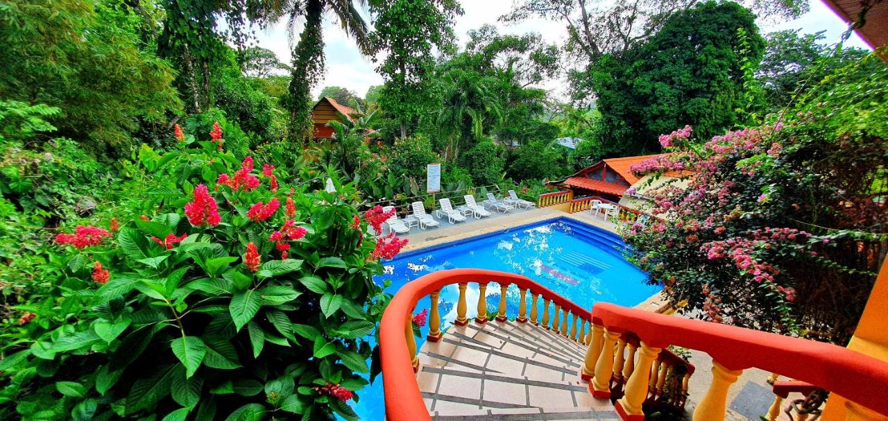 Hotel Tres Banderas photo