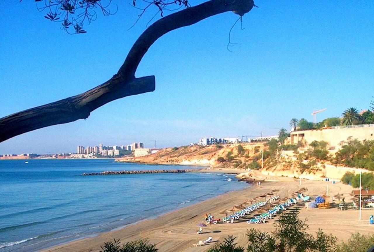 Luxurious 2 bedroom apartment near Cabo Roig strip, Playas de ...