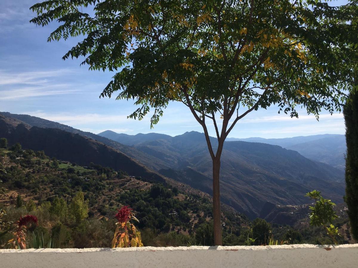 Jardin Andaluz veleta, Pinos del Valle – Bijgewerkte prijzen 2022