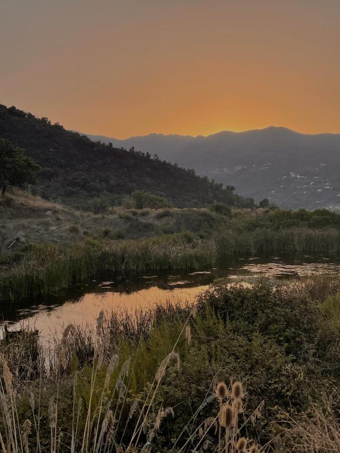 Villa Rica photo