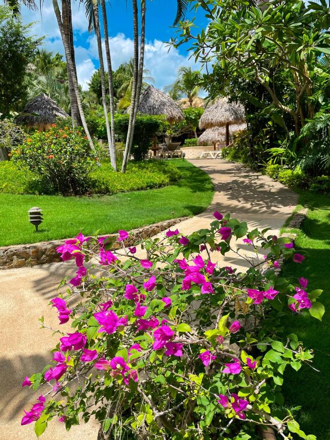 Jardin del Eden Boutique Hotel photo