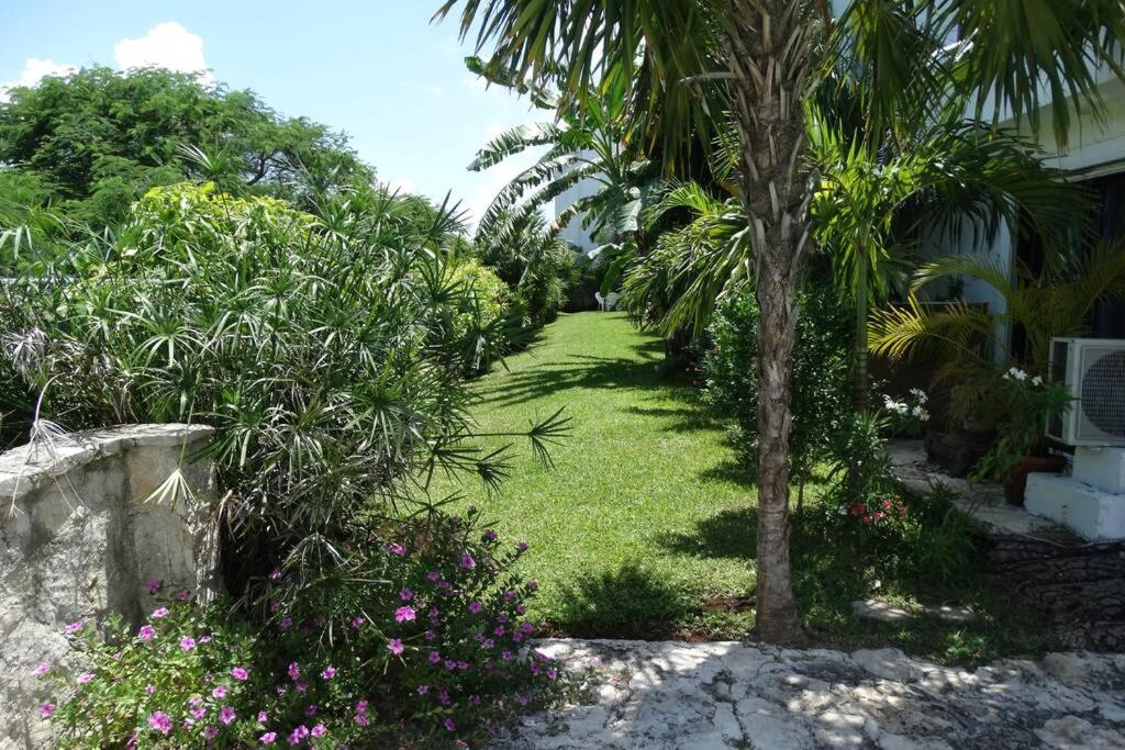 Sole & Mare by Andiani Travel - 3