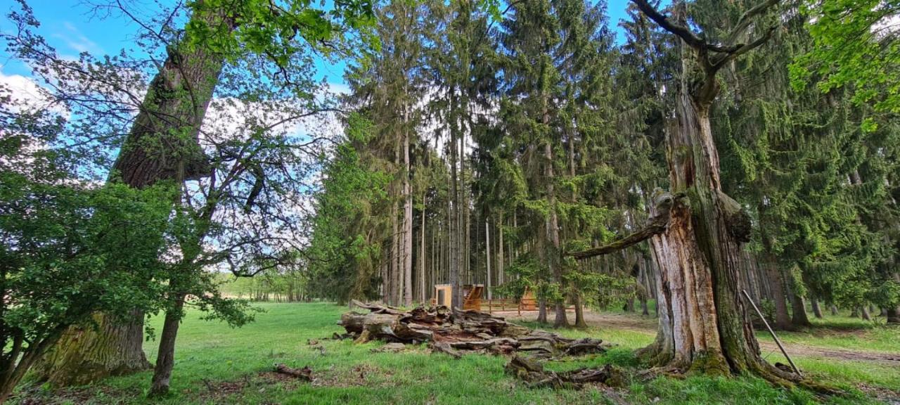 Luxury Tent Tiny House U Rybnika Knezicky Czech Republic Booking Com