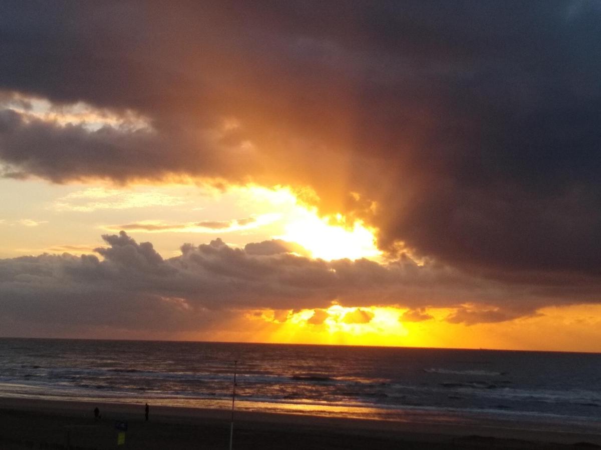 Duinen Paradijs Zandvoort photo
