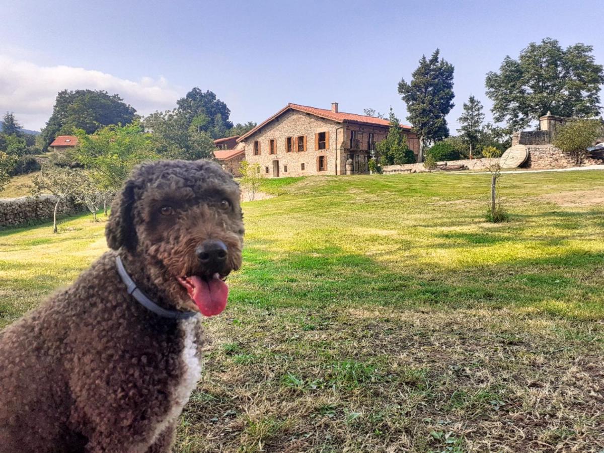 Casa rural cantabria perros