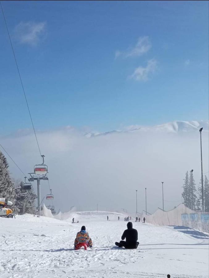 Hrodberht Ski Apartment, Buşteni – Prețuri actualizate 2022