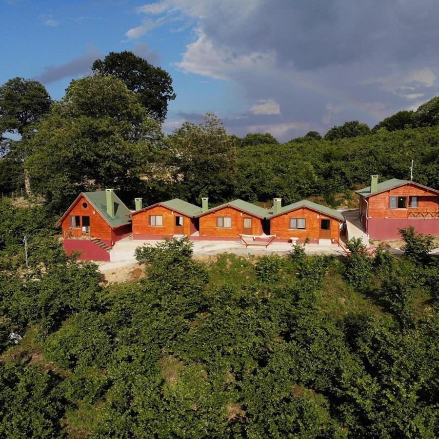 agva kilimli bungalow turkey booking com