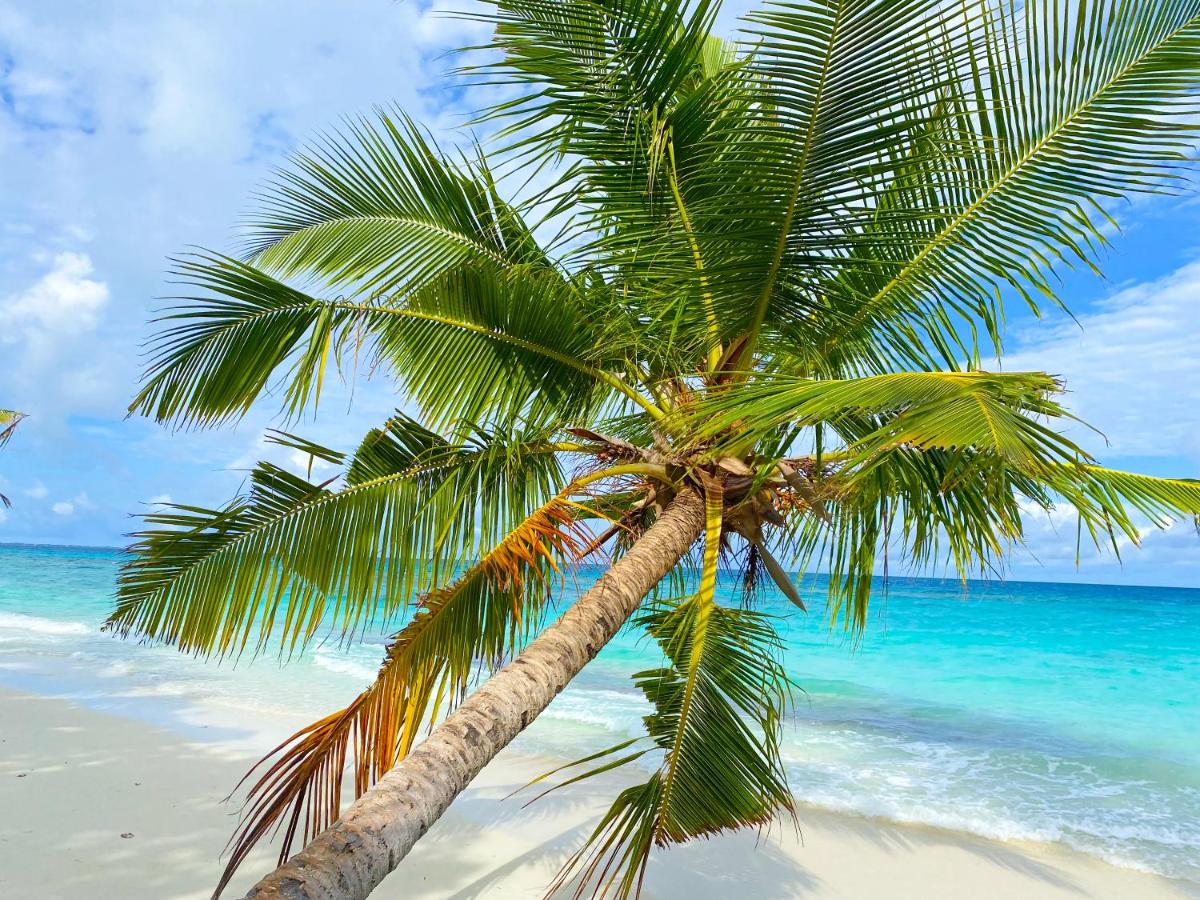 TME Retreats Dhigurah - 4