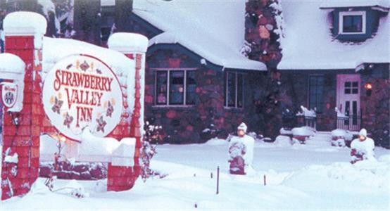 Strawberry Valley Inn — photo 11