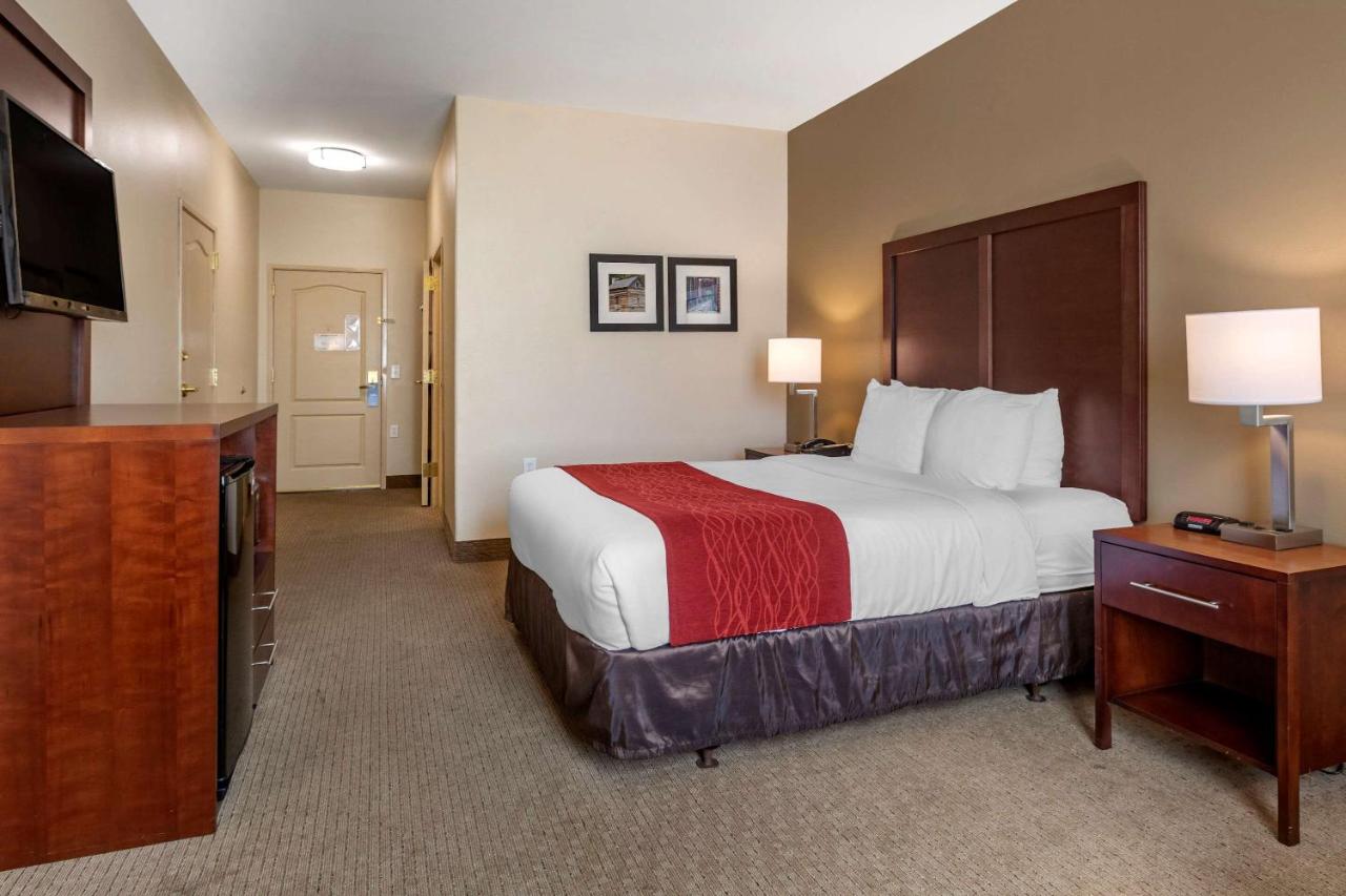 American Inn & Suites — photo 11