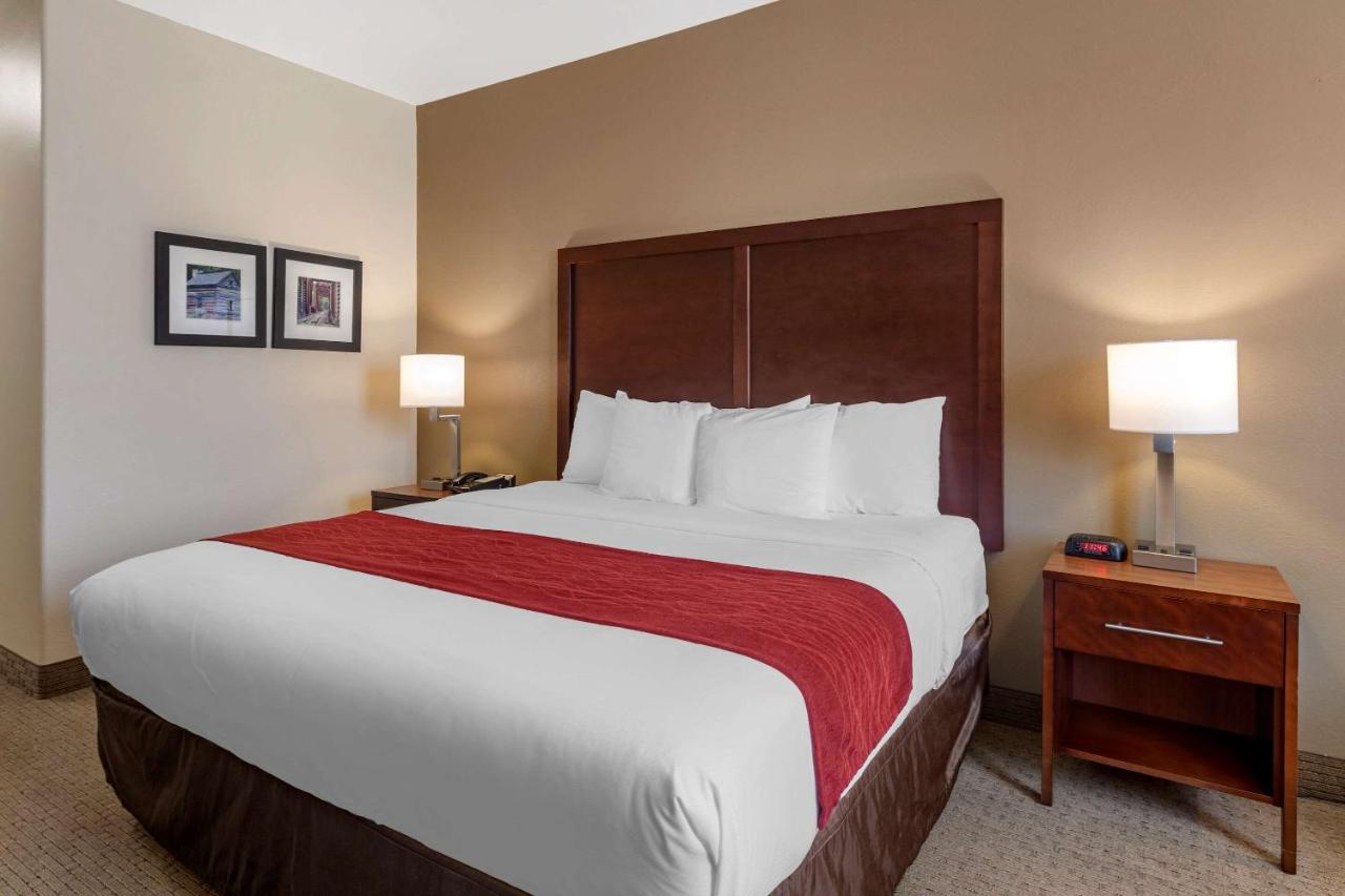 American Inn & Suites — photo 16