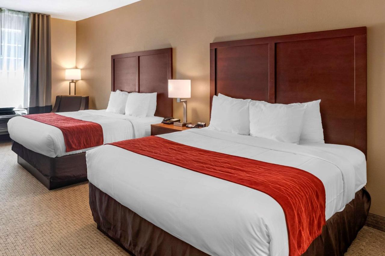 American Inn & Suites — photo 19