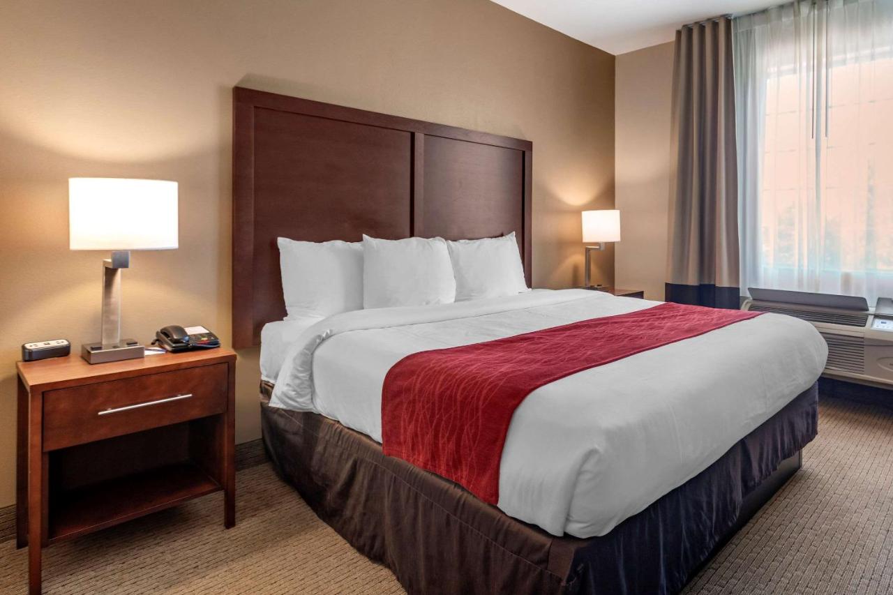 American Inn & Suites — photo 23