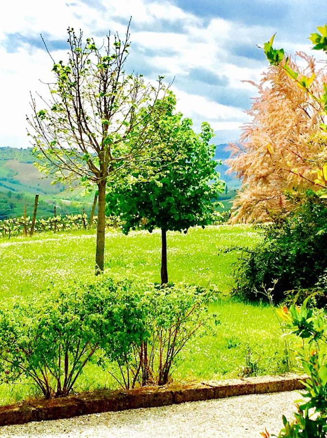 Villa Bice photo