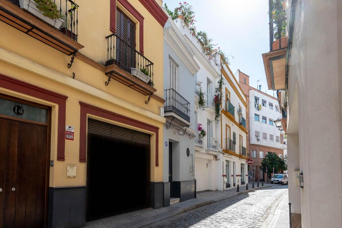 Luxury Alameda Donkey., Seville – Updated 2022 Prices