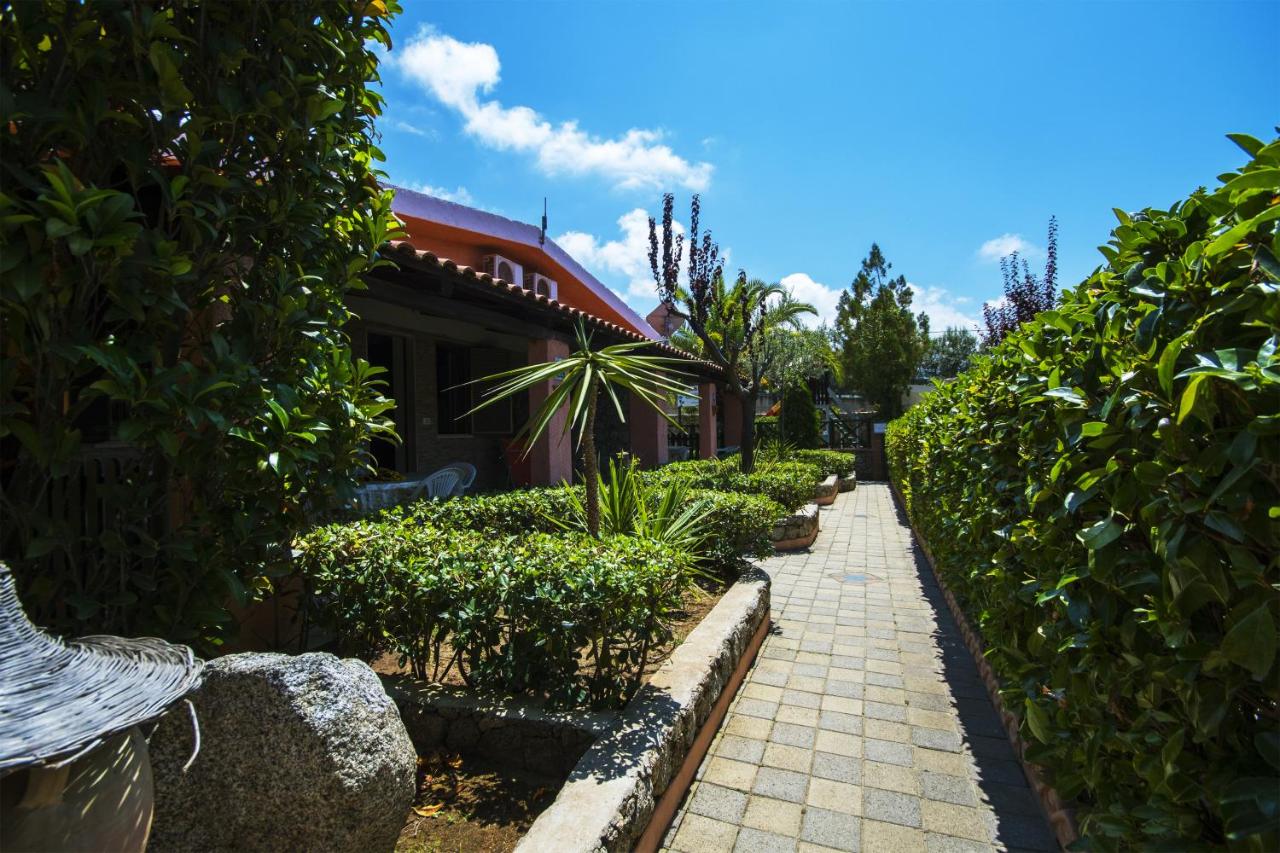 Park Oasi Resort photo
