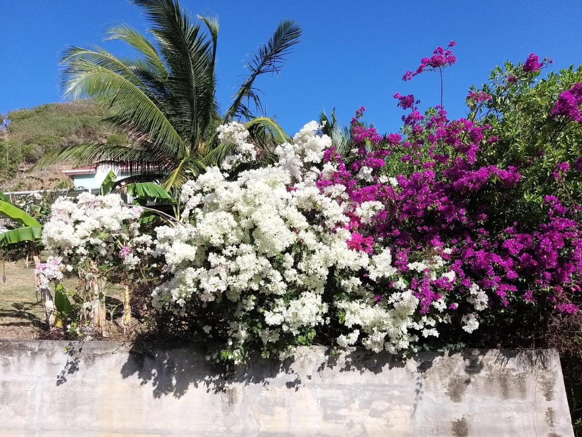 STUDIO LAURIER - 4 pers - proche bourg -1- - 5