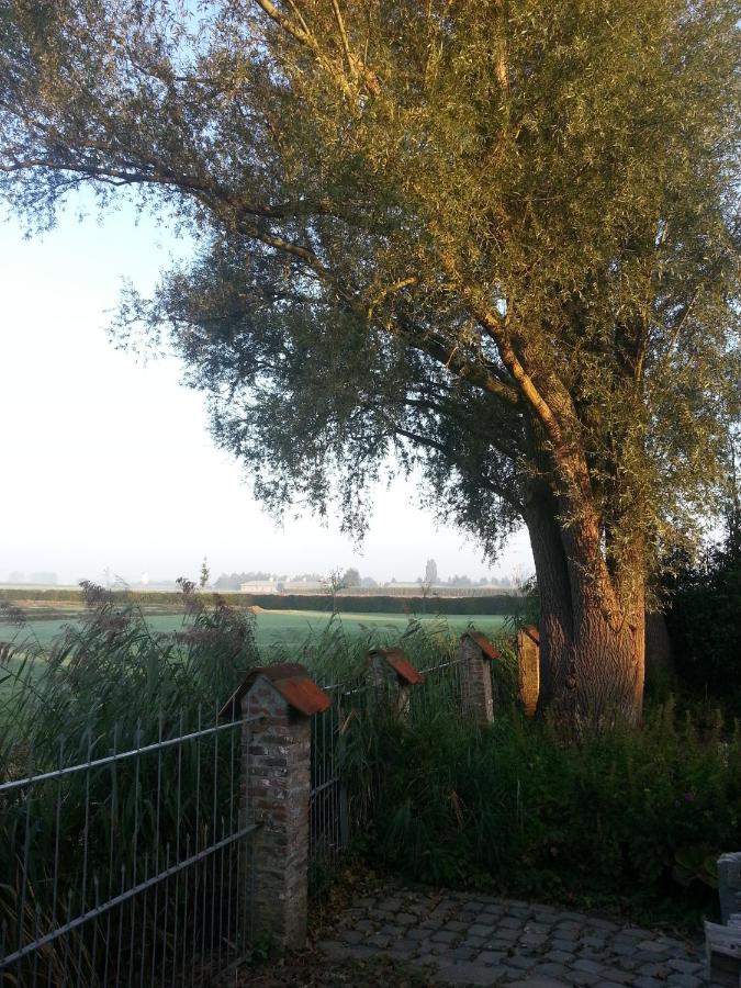 B&B Col del vino photo