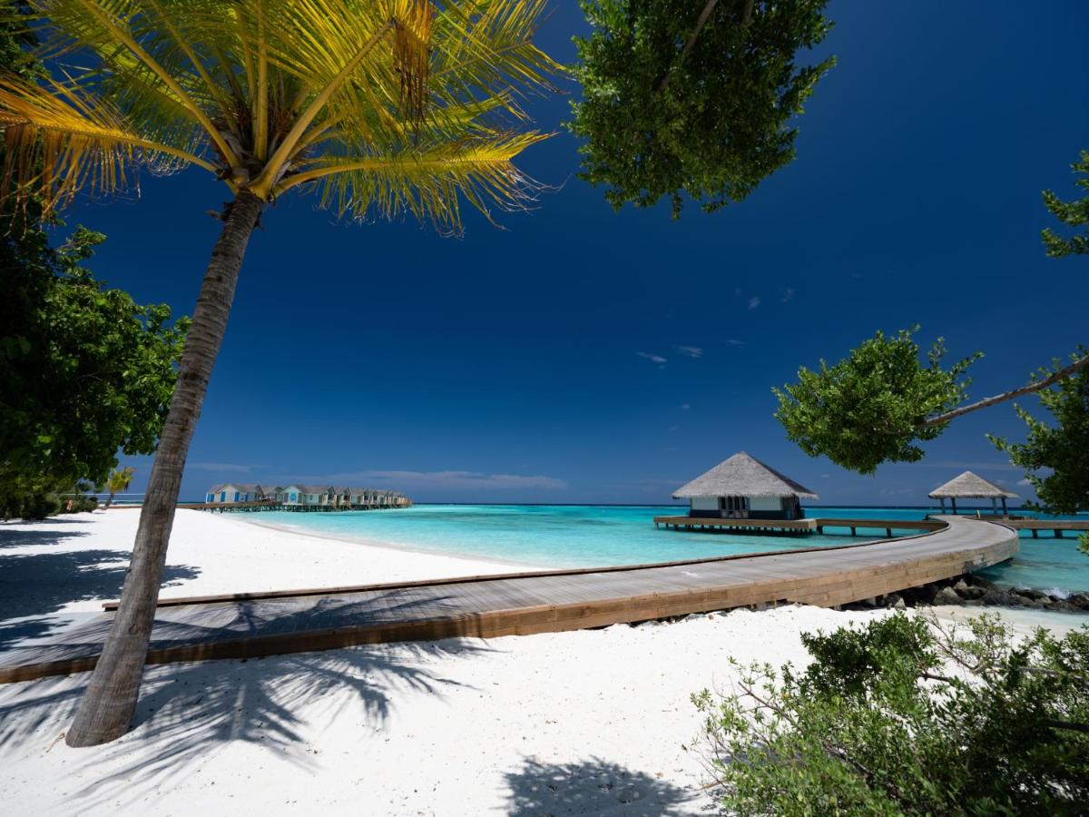 Beach: Cora Cora Maldives - Premium All-Inclusive Resort