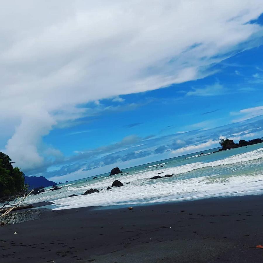 Beach: Reserva Natural Selva Mojada