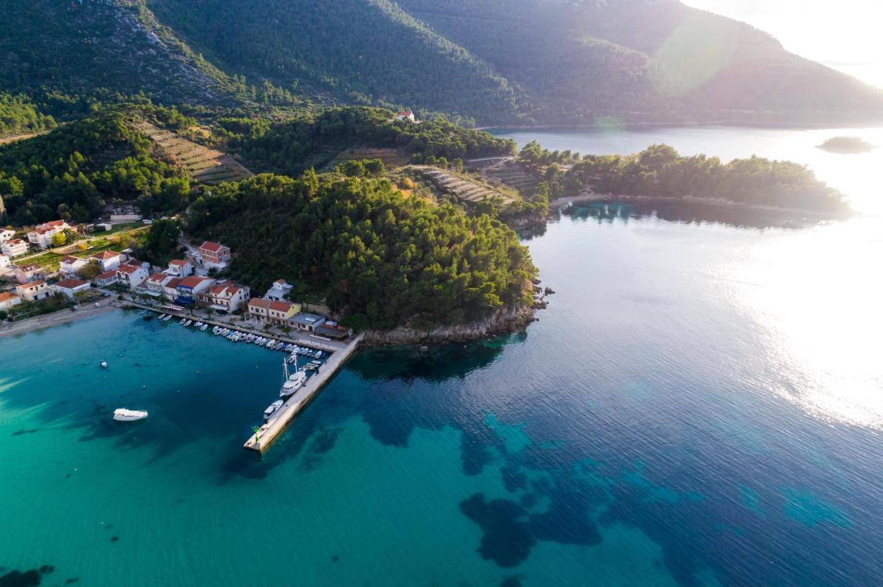 Villa Nives photo