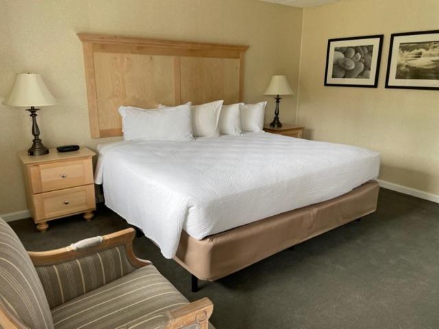 Moseley Cottage Inn and The Town Motel — photo 7